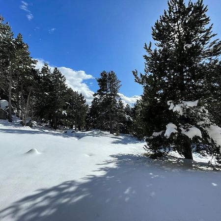 Joli Studio Pres De La Foret Font-Romeu-Odeillo-Via Bagian luar foto