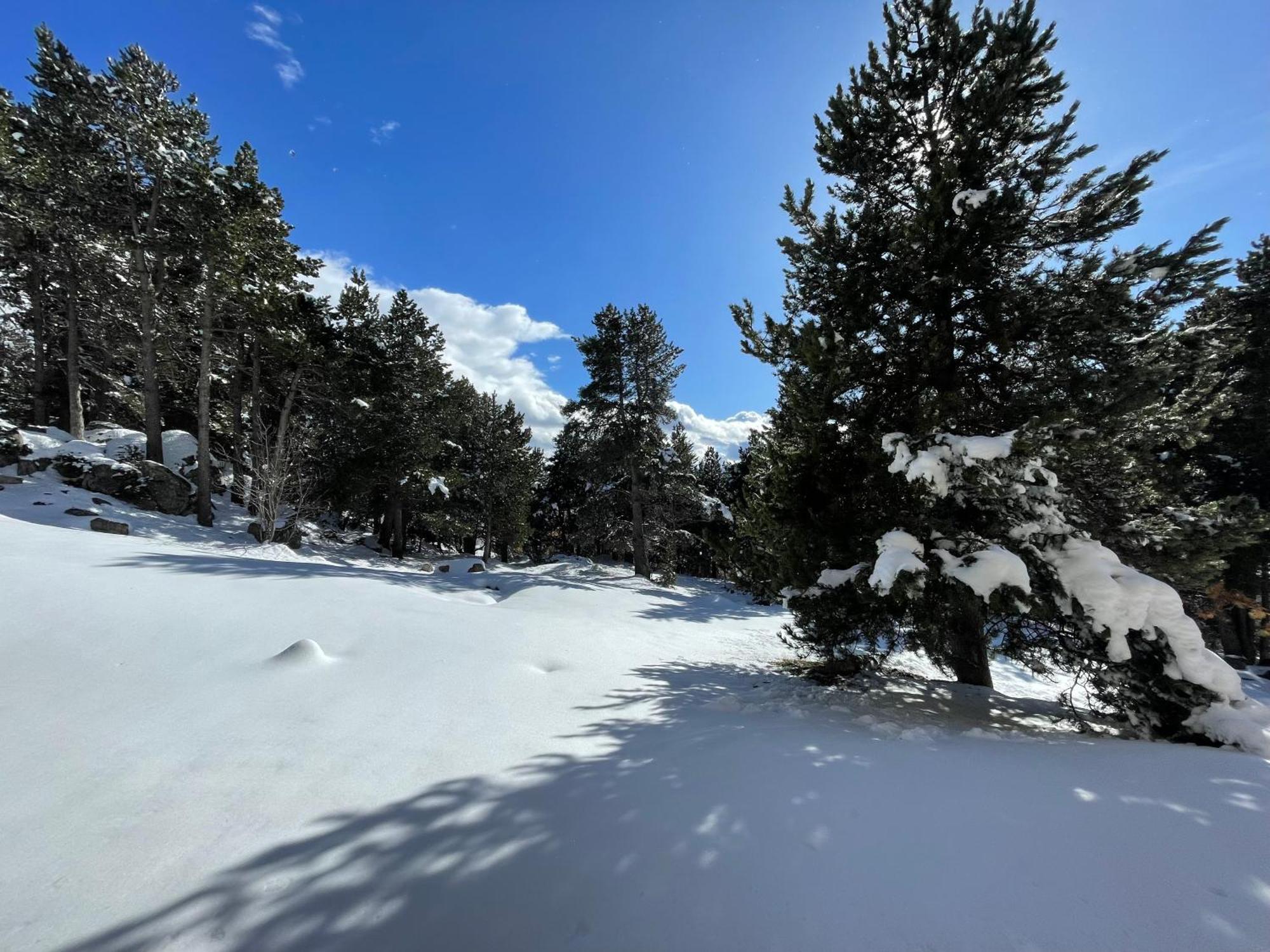 Joli Studio Pres De La Foret Font-Romeu-Odeillo-Via Bagian luar foto